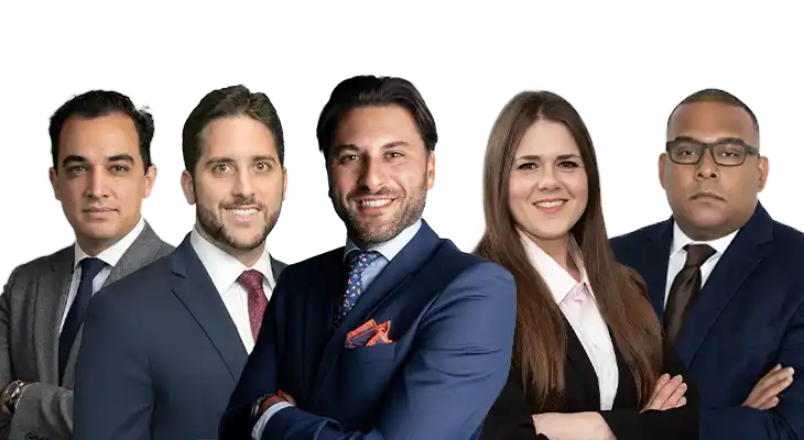 Windsor Troy Attorney Nest